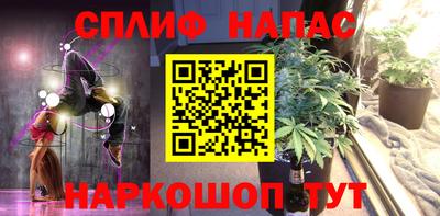стафф Гатчина