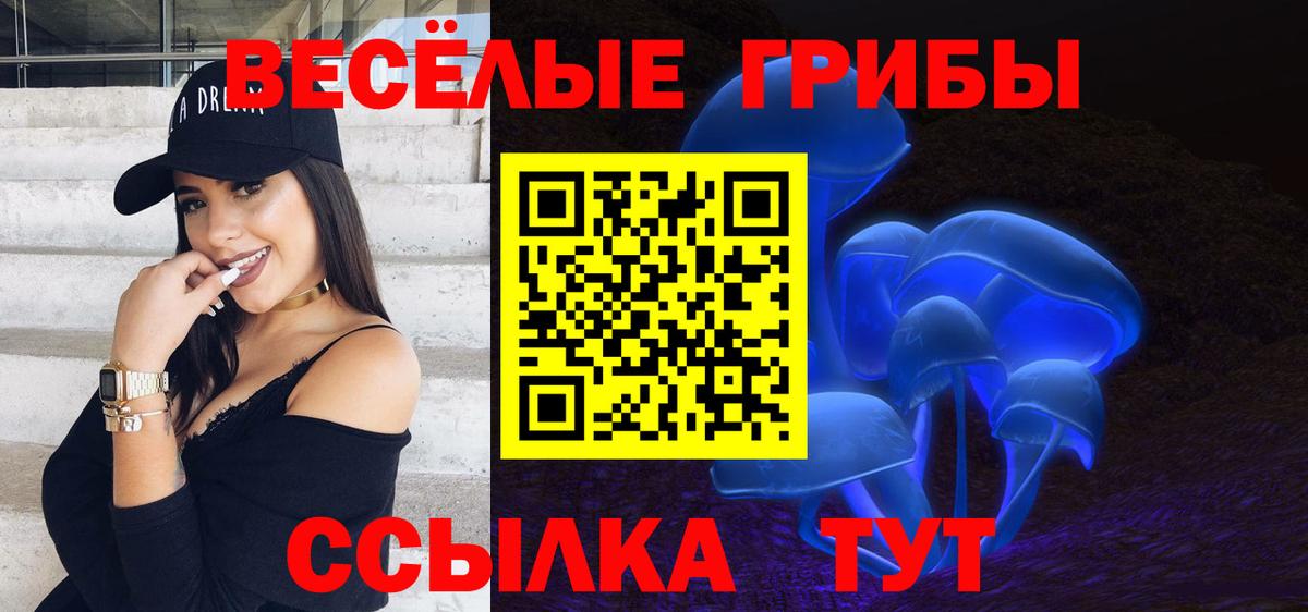 что такое   Псилоцибиновые грибы Magic Shrooms  Вход с VPN  Псилоцибиновые грибы мицелий  Губаха 