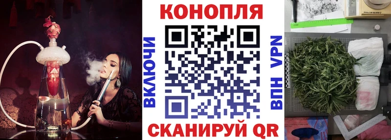 купить наркоту  Губаха  мориарти телеграм  Шишки марихуана THC 21% 